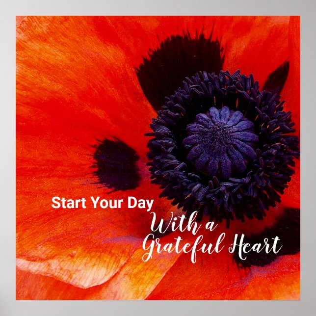 Elegant Poppy Flower Quote Grateful Heart  Poster (Front)