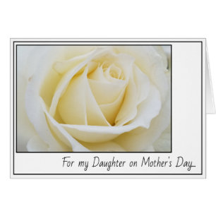 Elegant Pristine White Rose Close Up Mother's Day