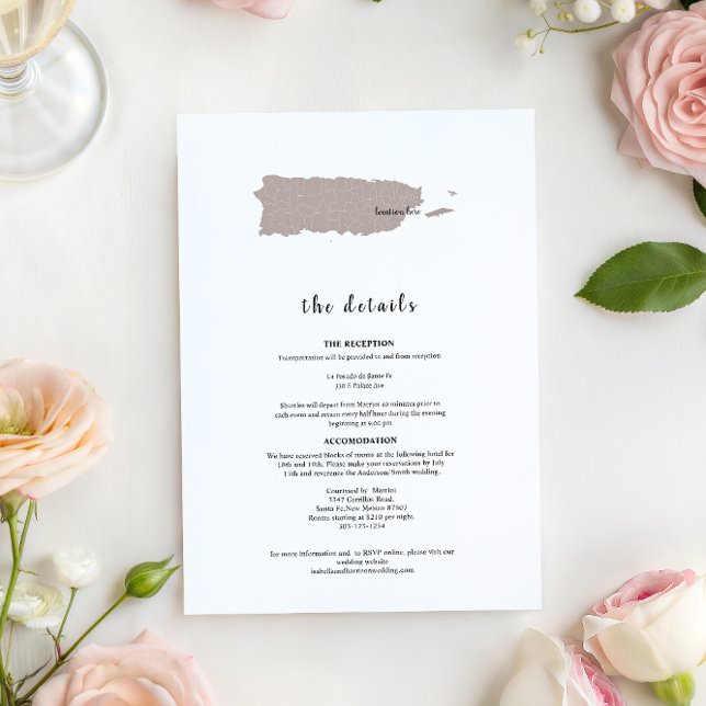 ELEGANT Puerto Rico Wedding Invitation Details (Creator Uploaded)