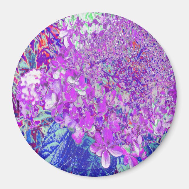 Elegant Purple and Blue Limelight Hydrangea Magnet (Front)
