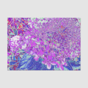 Elegant Purple and Blue Limelight Hydrangea Tissue Paper