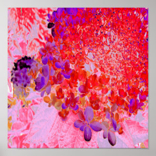 Elegant Purple and Orange Limelight Hydrangea Poster