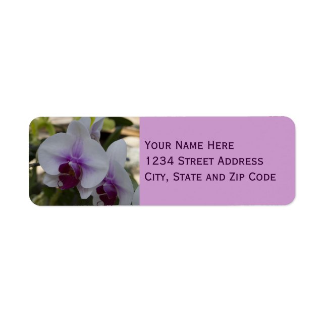 Elegant Purple and White Orchid Photo (Front)