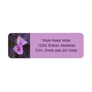 Elegant Purple Blossoms Photo