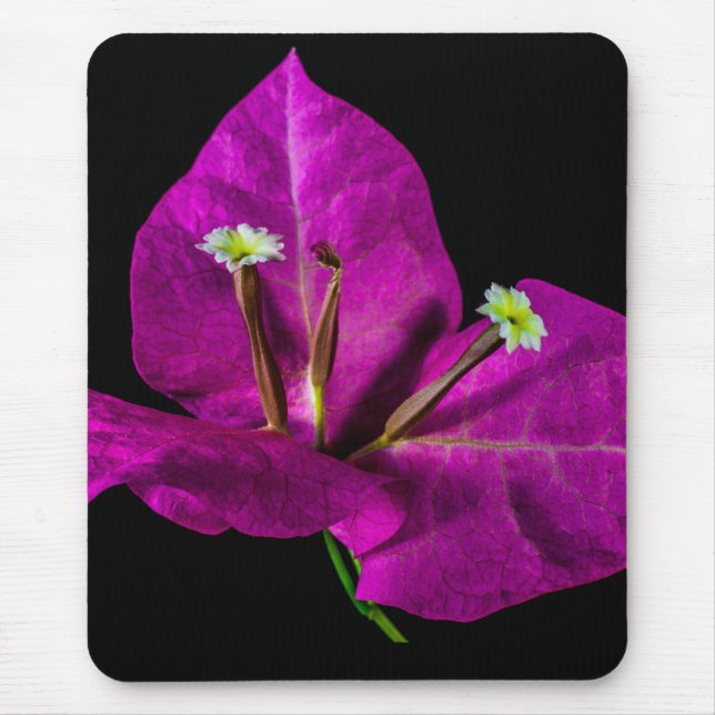 Elegant Purple Bougainvillea Mouse Mat (Front)