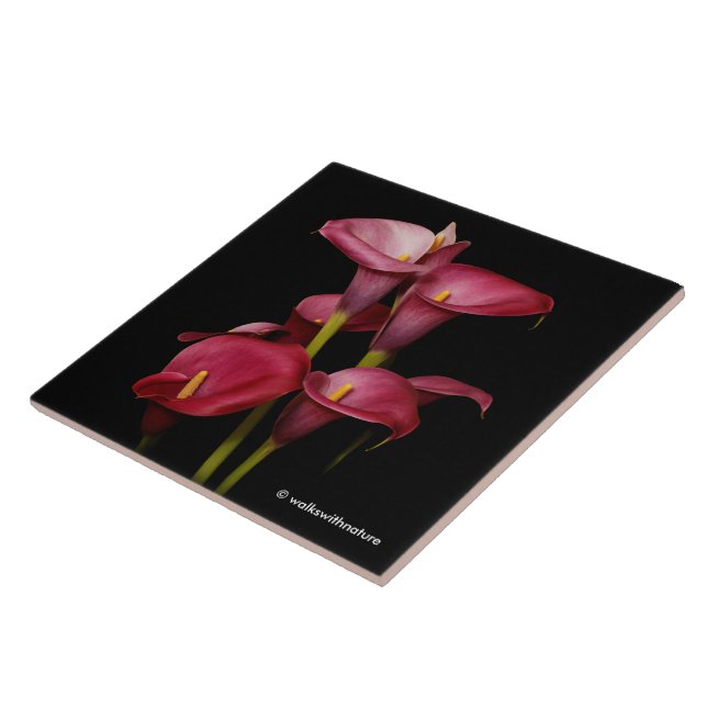 Elegant Purple Calla Lilies Tile (Side)