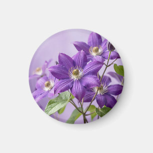 Elegant Purple Clematis Floral Bloom Magnet