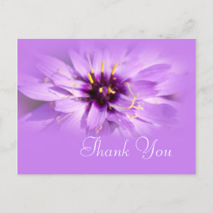 Elegant purple daisy flower thank you postcard. postcard