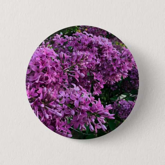 Elegant purple florals purple lilacs 6 cm round badge (Front)