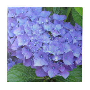 Elegant Purple Hydrangeas Tile