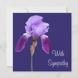 Elegant purple iris flower fine art sympathy love card