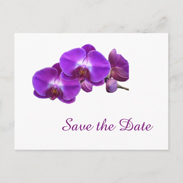 Elegant, purple orchid flowers save the date announcement postcard (Front)