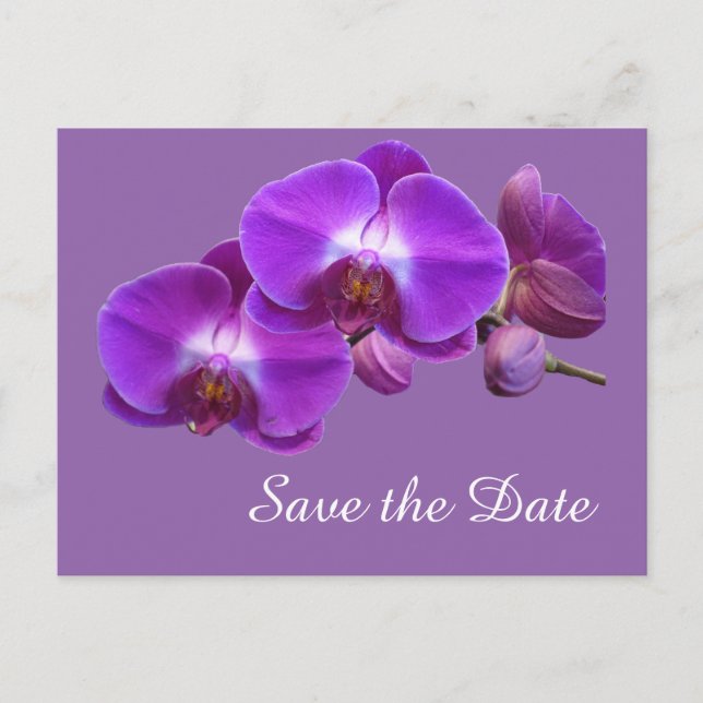 Elegant, purple orchid flowers save the date announcement postcard (Front)