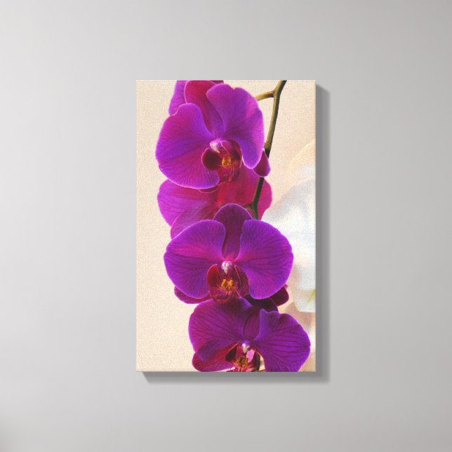 Elegant Purple Orchid Wrapped Canvas (Front)