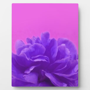 Elegant Purple Raspberry Floral Plaque