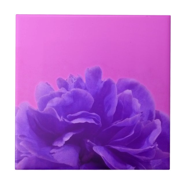 Elegant Purple Raspberry Floral Tile (Front)