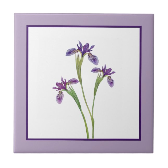 Elegant Purple Watercolor Iris Flowers Botanical Tile (Front)