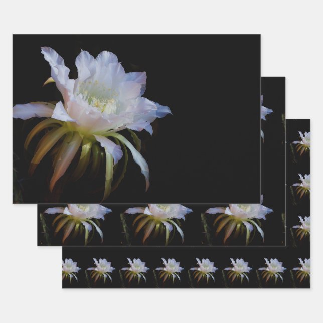 Elegant Queen of the Night Cactus Flower Wrapping Paper Sheet (Set)