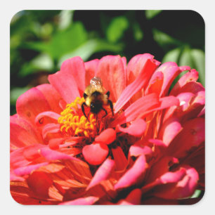 Elegant red coral floral cute bumble bee square sticker