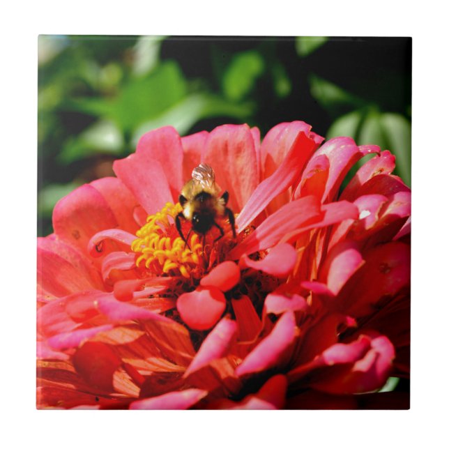 Elegant red coral floral cute bumble bee tile (Front)