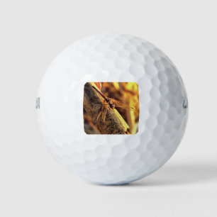 Elegant Red Darter Dragonfly Insect Art Golf Balls