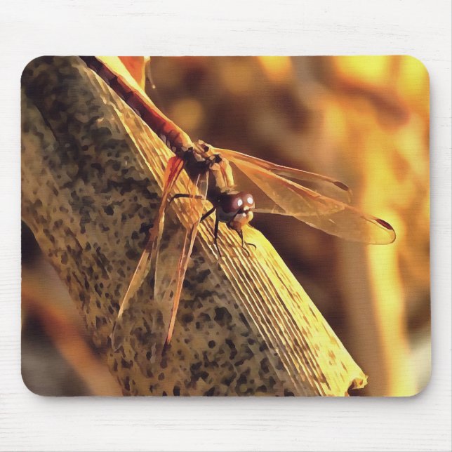 Elegant Red Darter Dragonfly Insect Art Mouse Mat (Front)
