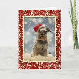 Elegant Red Golden Dog Christmas Holiday Card