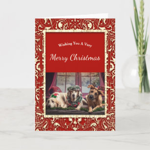 Elegant Red Golden Dogs Christmas Holiday Card