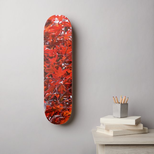 Elegant Red Japanese Maple Leaves Skateboard (Wall Art)