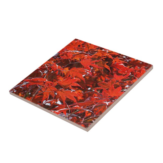 Elegant Red Japanese Maple Leaves Tile (Side)