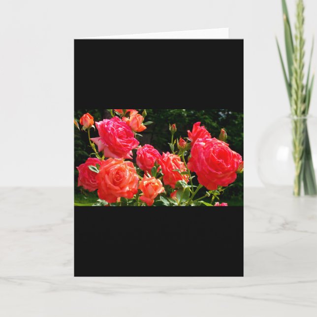 Elegant red orange coral roses rose garden card (Front)