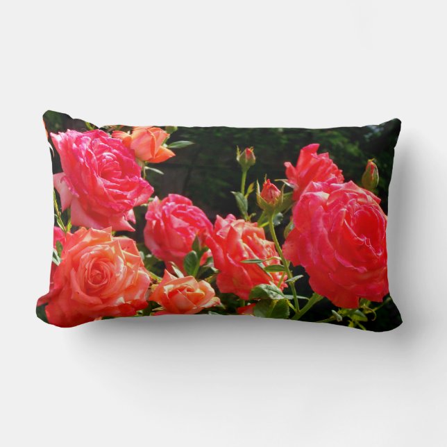 Elegant red orange coral roses rose garden lumbar cushion (Front)