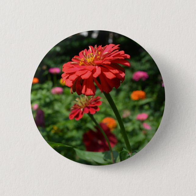 Elegant red orange floral flower garden  6 cm round badge (Front)