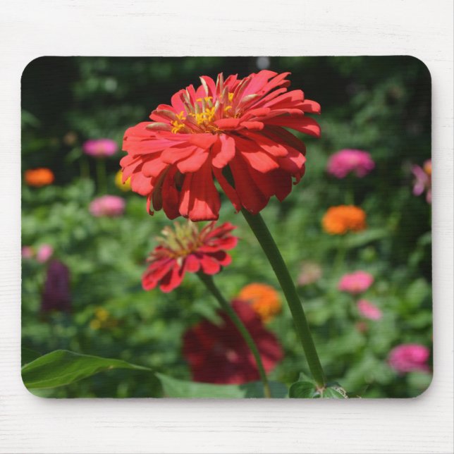 Elegant red orange floral flower garden  mouse mat (Front)