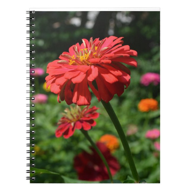 Elegant red orange floral flower garden  notebook (Front)