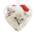 Elegant Red Pet Memorial Photo Keepsake