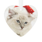 Elegant Red Pet Memorial Photo Keepsake