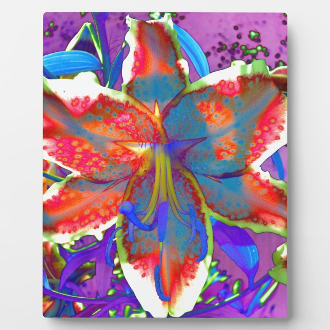 Elegant red purple blue floral  Lily Plaque (Front)