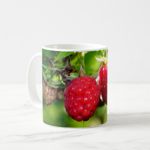 Elegant red Raspberries Coffee Mug