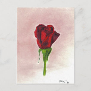 Elegant Red Rose by CricketDiane Postcard