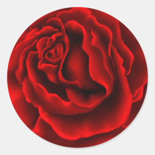 Elegant Red Rose Sticker
