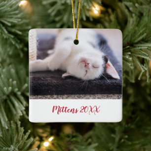 Elegant Red Script Pet Cat Photo Modern Ceramic Ornament