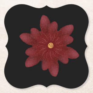 Elegant Red Velvet Flower on Black   Dark Floral A Paper Coaster