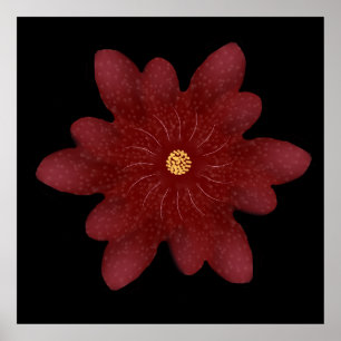 Elegant Red Velvet Flower on Black Dark Floral A Poster