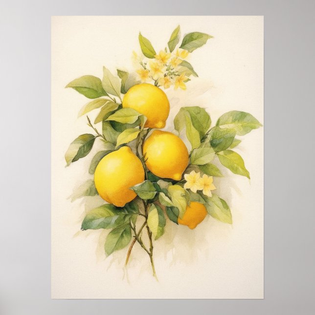 Elegant Refreshing Lemons Poster (Front)