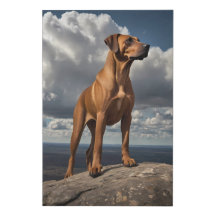Elegant Rhodesian Ridgeback Canvas – Mountain Top