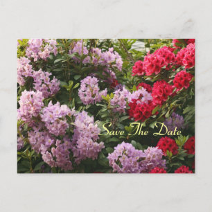 Elegant Rhododendron Save The Day Postcard