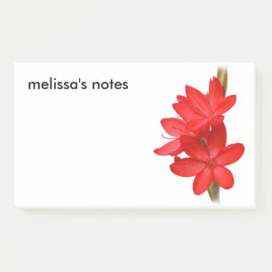 Elegant River Lily / Hesperantha Coccinea Post-it Notes