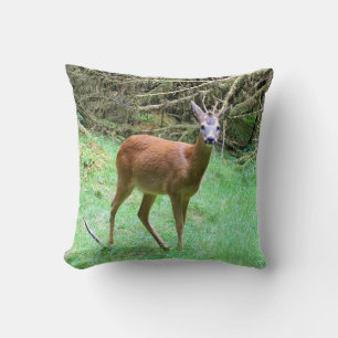 Elegant Roe Deer Buck Forest Scene Wildlife Sofa Cushion