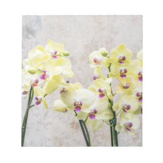 Elegant Romantic Cream & Lilac Orchids Notepad